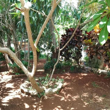 Se vende casa en la entrada del reparto Fontanar. Es la segunda casa en la avenida principal. Miguel 54755950 - 9/10