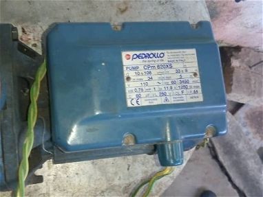 Motor de agua de uso, marca Pedrollo - Img main-image