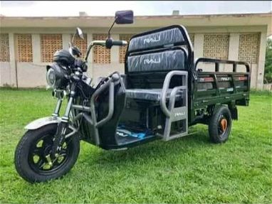 Triciclo eléctrico Rali cargo de 1200w - Img main-image