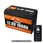 $320 USD Batería lifepo4 12v 100ah. - Img 56242433