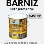PINTURA BARNIZ BRILLO PROFESIONAL - Img 54134831