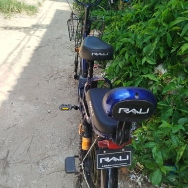 Bicicleta electrica Raly 3 - Img 125947150