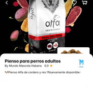 Pienso para Perros/ Snacks para perros - Img 56287758