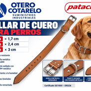 COLLAR DE CUERO PARA PERRO VARIAS MEDIDAS - Img 58185574
