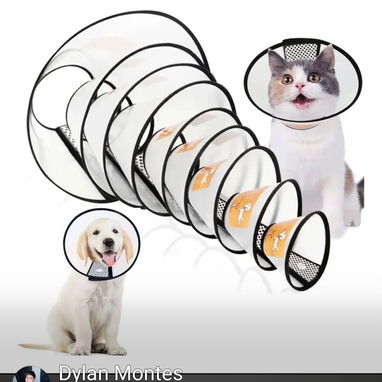 Collar isabelino - 2/2