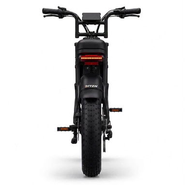 *BICICLETA ELÉCTRICA DTTZH F6* - 5/10