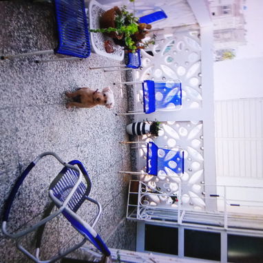 Se Permuta o se vende - Img 120684619