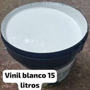 Pintura vinil blanca - Img 55148967