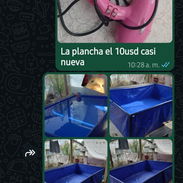 Piscina en perfecto estado y otras cosas - Img 57424330