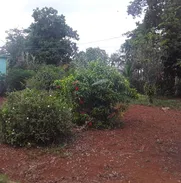 Venta de casa con finca en san Antonio de los Baños - Img 50897099