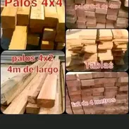 Tablas y polas - Img 57511546