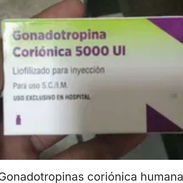Gonodatropina corionica humana - Img 56103545