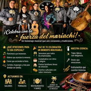 Mariachi - Img 56391556