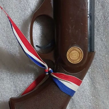 Rifle de aire comprimido de pellets ("perles"). $500 USD. (+53)52990828. - Img 123088402