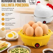 Máquina de hervir huevos 7 huevos - Img 56564685