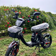 bicimoto mishozuki grillo pro max 14 generacion - Img 55809608