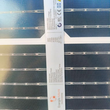 Panel Solar Energia Futura 600 w monocristalino y bifacial Shan Noe - 2/2