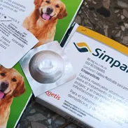 Simparica y vacunas – Adrian’s Pet Shop – Salud y cuidado animal (Kinetica) - Img 55713684