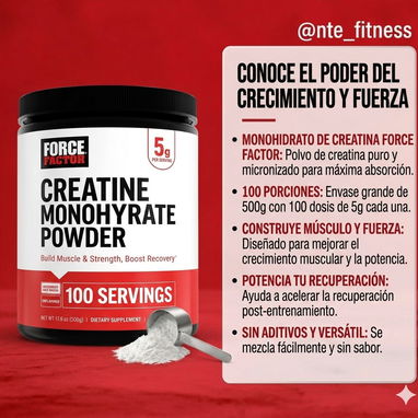 Creatina, BCAA, Pre-entrenos - Img 118808111