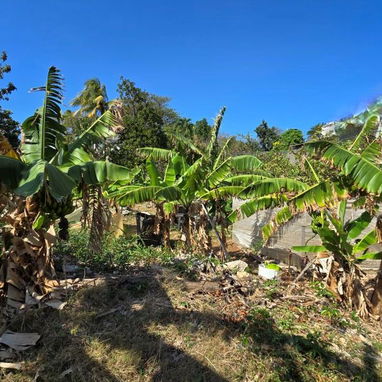 Terreno con 1000m² en Miramar (T-1) - Img 116852248