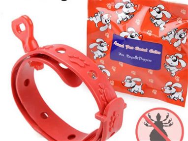 Collares Antipulgas para perros y gatos - Img main-image