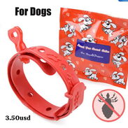Collares Antipulgas para perros y gatos - Img 45481745