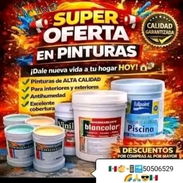 OFERTAS DE PINTURAS PARA EL HOGAR - Img 58054642