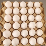 Huevos - Img 54785356