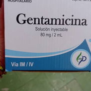 Gentamicina inyectable - Img 57996945