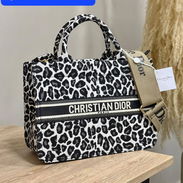 Cartera Cristian Dior de Lujo - Img 55062677