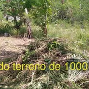 Vendo terreno de 1000m2 en la villa panamericana cerca de la monumental no tiene papeles aunque es posible legalizar. - Img 57572855
