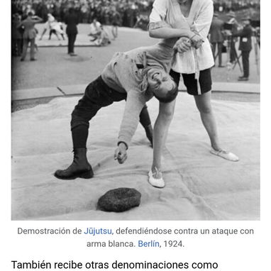 Lucha Japonesa Artes marciales Mixtas - Img 119515632