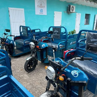 TRICICLO ELÉCTRICO LLC (HÍBRIDO) - 3/5