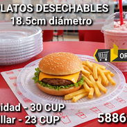 Platos desechables de 18.5cm de diámetro. - Img 54925252