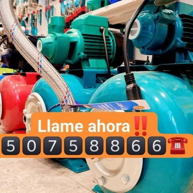Todo tipo de Kiwan en venta AHORA‼️ - Img 104544822