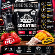 Creatina Blackbear-150 servicios Precio: $33 USD - Img 56028110