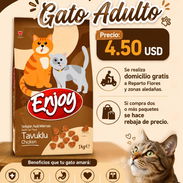Pienso para gatos - Img 56259631