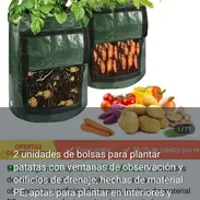 Bolsas para plantar papas, zanahorias. - Img 54364437