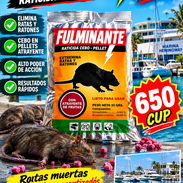Veneno para Ratas y Ratones Ratax Fulminante. 100% efectivo - Img 58103072