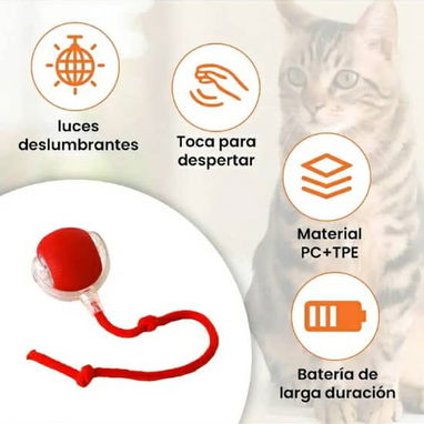 Pelota para mascotas( perros y gatos) - Img 125868024
