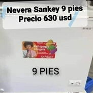 Nevera Sankey de 9 pies - Img 45368310