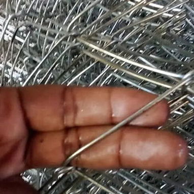 VENTA DE ROLLOS DE CERCA PERLE GALVANIZADA/ACERADA - Img 123096039