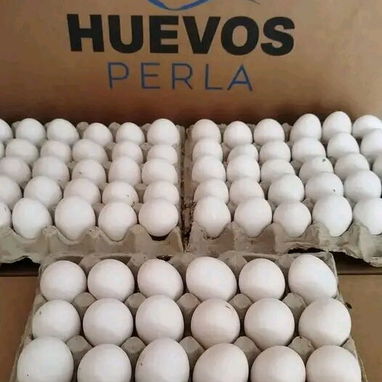 Ventas de productos - Img 124887027