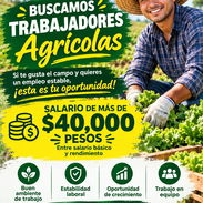 Oferta de empleo, más de 40000 al mes - Img 57923284