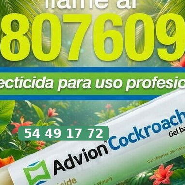 Veneno para cucarachas - 2/3