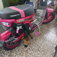 Venta de bici moto yoazaki 707 - Img 55849934