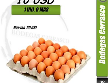 Carton de Huevos - Img main-image