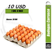 Carton de Huevos - Img 44976970