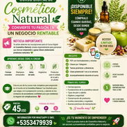 Curso digital de cosmética natural - Img 56295178