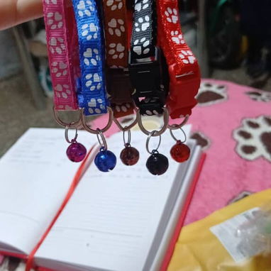 Productos para mascotas - 9/10